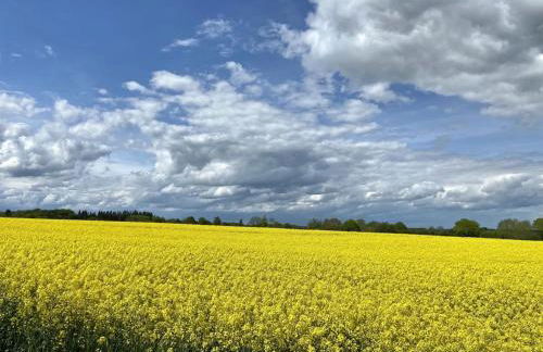 Ferienwohnung an der Schlei oben - Foto 28