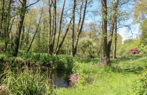 Little Barton - Foto 21