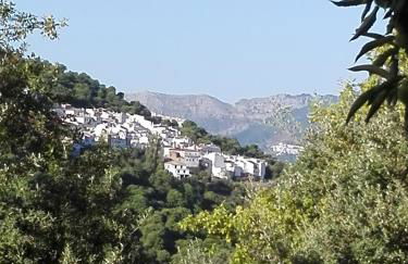 Casas Rurales El Viejo Castaño - Valle Del Genal - Foto 46