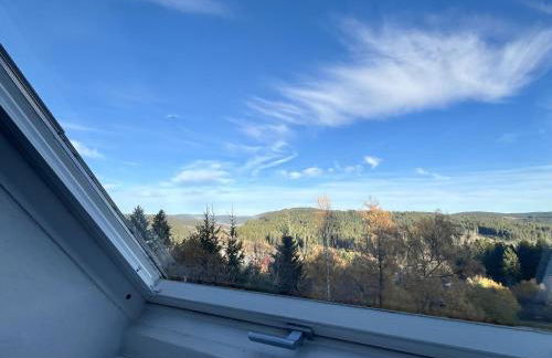 Apartment Falkennest - mit Blick auf den Titisee by Interhome - Foto 18