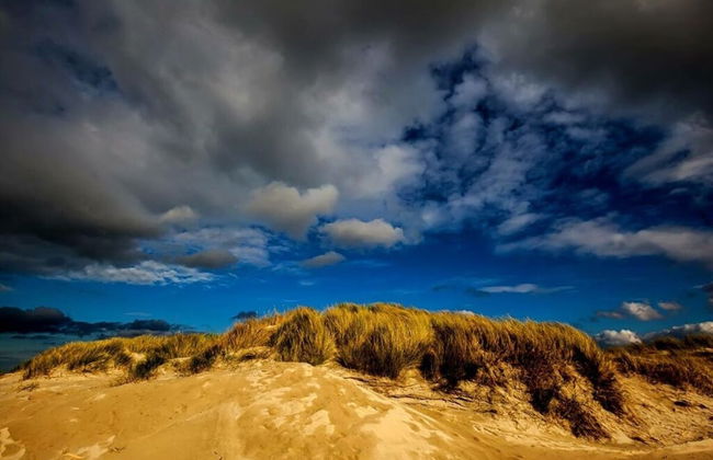 Ostland Modern Retreat - Photo 11