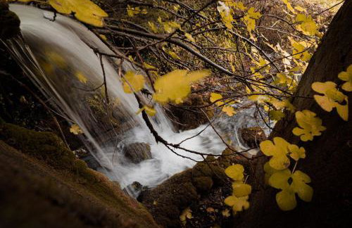 Parnassus Dreamwood Chalet - Foto 33