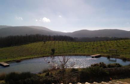 Fattoria San Paolo Agriturismo - Foto 2