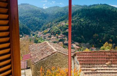 Forrest Guesthouse - Foto 17