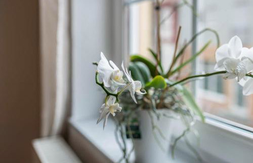 Aposto Apartments 2 - Foto 19