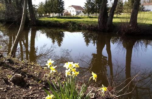 Maison de caractère à Gy avec parking et Wifi - FR-1-583-448 - Foto 31
