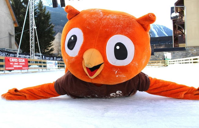 VVF Saint-Lary-Soulan Hautes-Pyrénées - Foto 25