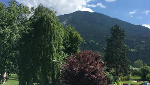 Ferienwohnung Haus Greif - Foto 3