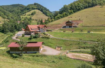 Springhansenhof - Foto 1