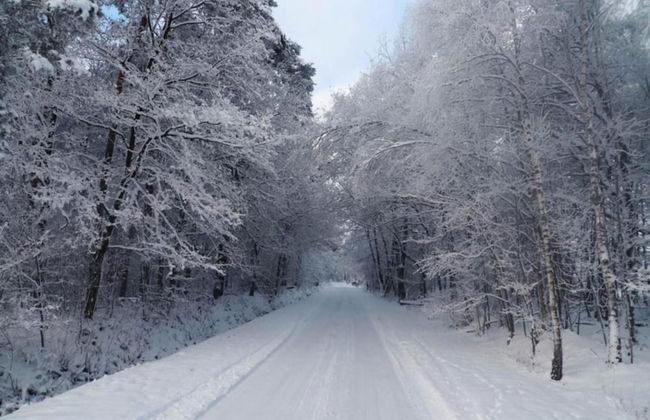 Holiday Home in Haaksbergen by Lake - Photo 25