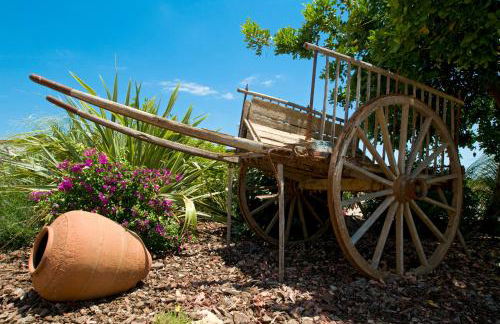 Finca Agroturismo Can Carro - Foto 54