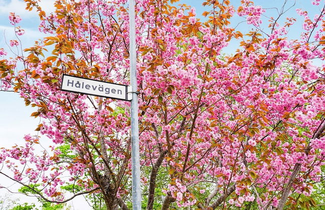 9 Person Holiday Home in Fiskebackskil - Foto 20