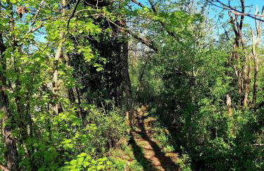 Maison climatisée au calme proche des commerces - Foto 27
