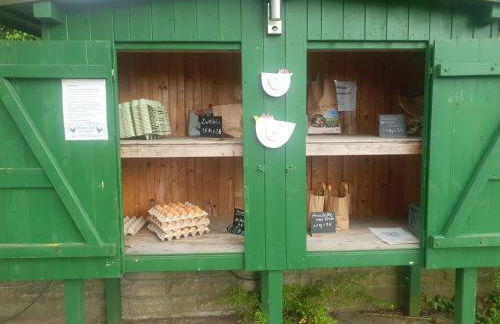 Auf dem Bauernhof - Foto 9