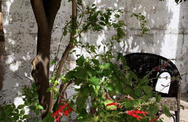 Tap Apartments - in Independent House with Private Garden - Photo 34