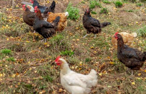 2 Bed in Abergavenny oc-90234 - Photo 21