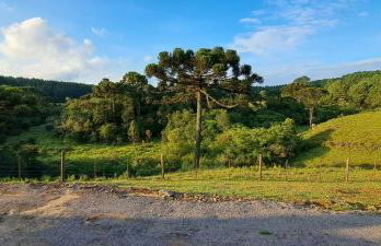 Sítio Passo do Carro - Foto 39