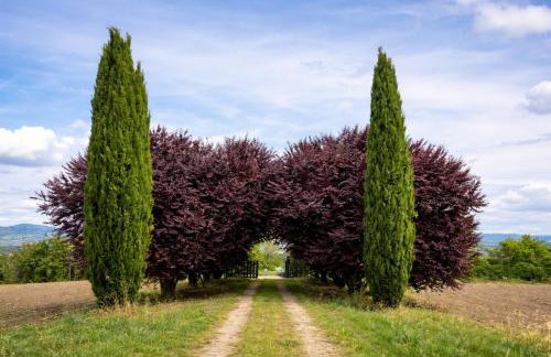 Scappo in Umbria, Torre Angelina - Foto 32
