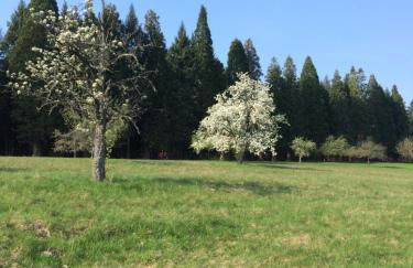 Ferienwohnungen Brack in Gaggenau - Foto 20