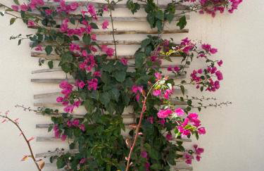 Villa Centenary Goose - Foto 31