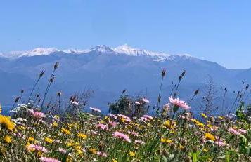 Villa Delfini - Foto 52