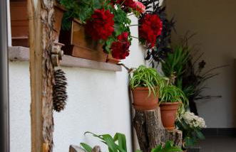 Schupferhof - Foto 13