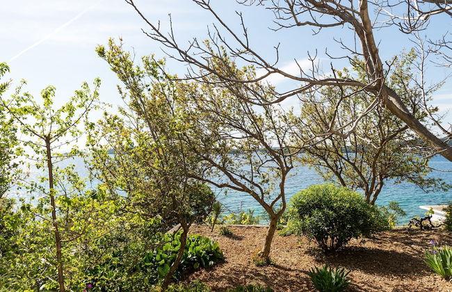 Apartments Šestanović - Foto 42