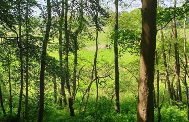 Naturpur die Wellnessoase - Foto 16