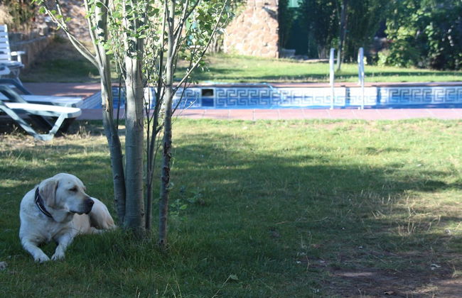 Posada Rural Spa Granja La Tejera de Lozoya - Foto 35