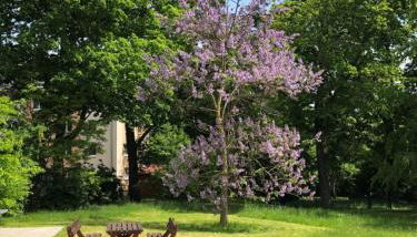 Ferienwohnung Am Hofjägerhaus - Foto 4