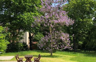 Ferienwohnung Am Hofjägerhaus - Foto 4
