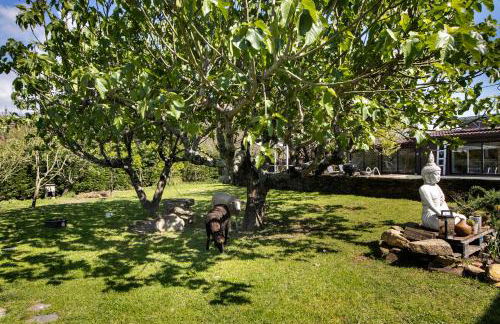 Casa Chocolate - Foto 29