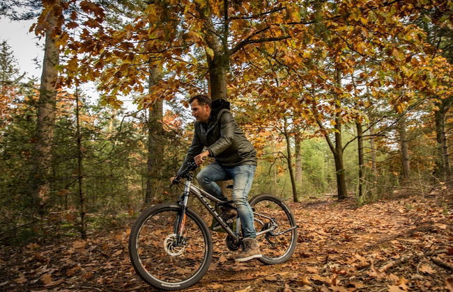 Villa in Someren Near Golf Course - Photo 22