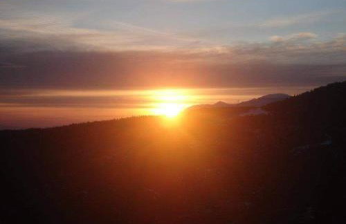 Άγρια Λούλουδα Κατοικία Ευτυχία - Photo 10