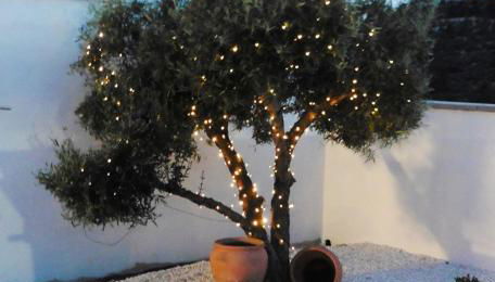 Villa Bellavista - Foto 4, Garden