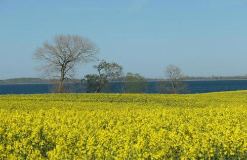 Ferienwohnung Hafenblick Ferienhof Geltinger Bucht - Foto 21