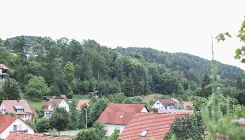 Ferienwohnung Spiegelberg - Foto 5