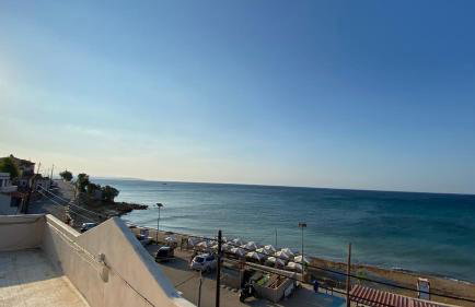 Terry Studio - Foto 55