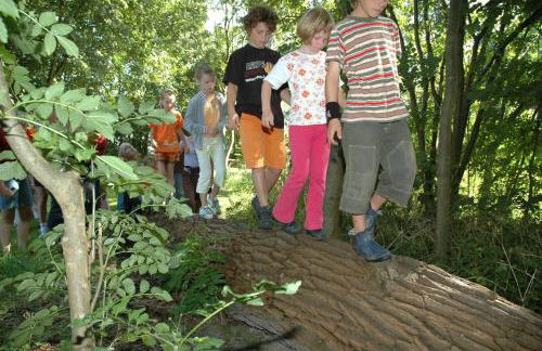 Erlebnishof Katthusen - Foto 7