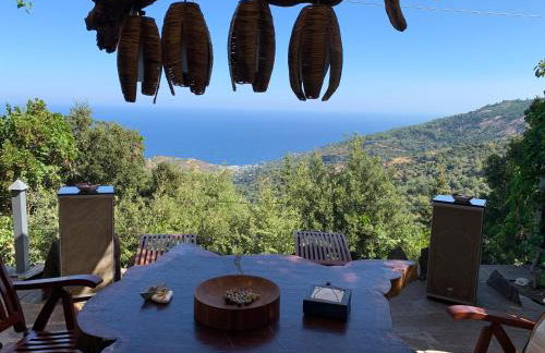 Ikaria View Resort and Villa with Pool - Photo 54