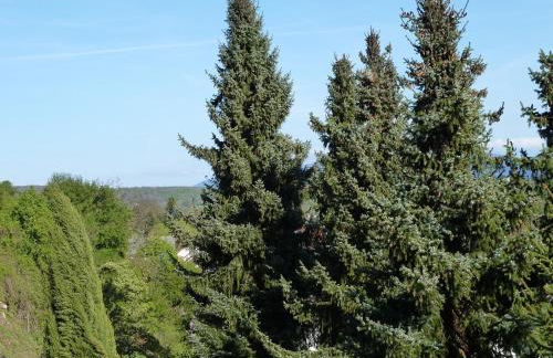 Helle 70 qm Ferienwohnung mit herrlichem Blick - Foto 32