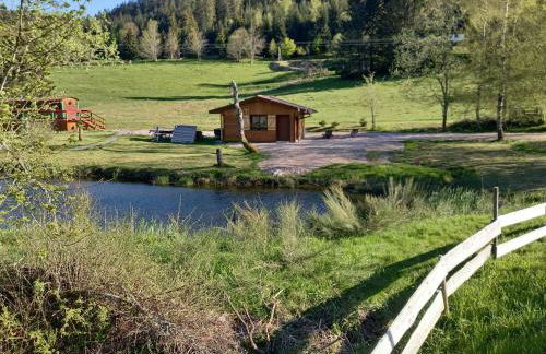 CHALET DU PERE NOEL 10 minutes from Gérardmer - Foto 1