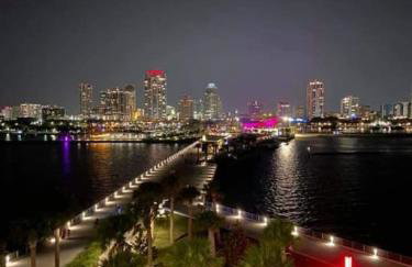 Romance in the City 1 Bdrm Studio in Downtown St Pete - Foto 27