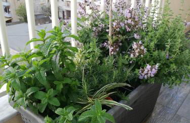 Appartamento Luelen - Foto 35