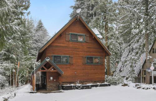 Govy Alpine Getaway - Meredith Lodging - Foto 61