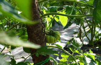 Agriturismo Vezzano - Foto 20