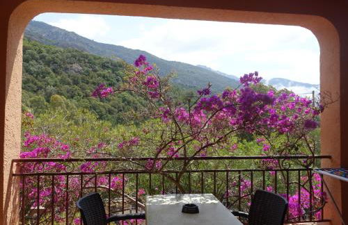 Studio Residence Cabanaccia Studio 35m² by Interhome - Foto 13