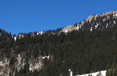 Ferienhof Wäldle - Wäldle 1 und Wäldle 2 mit Motorradvermietung - Photo 11