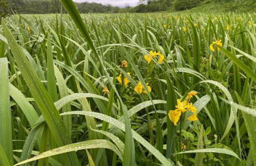 Stables Cottage - Foto 58