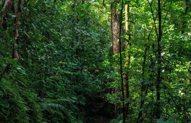 Villas Josipek - Photo 70